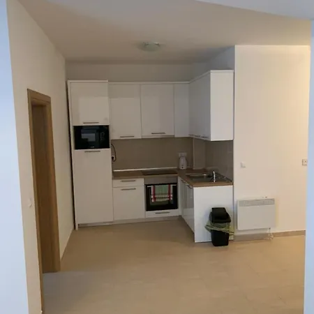 Apartment Apartman Milena *